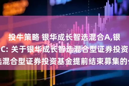 投牛策略 银华成长智选混合A,银华成长智选混合C: 关于银华成长智选混合型证券投资基金提前结束募集的公告